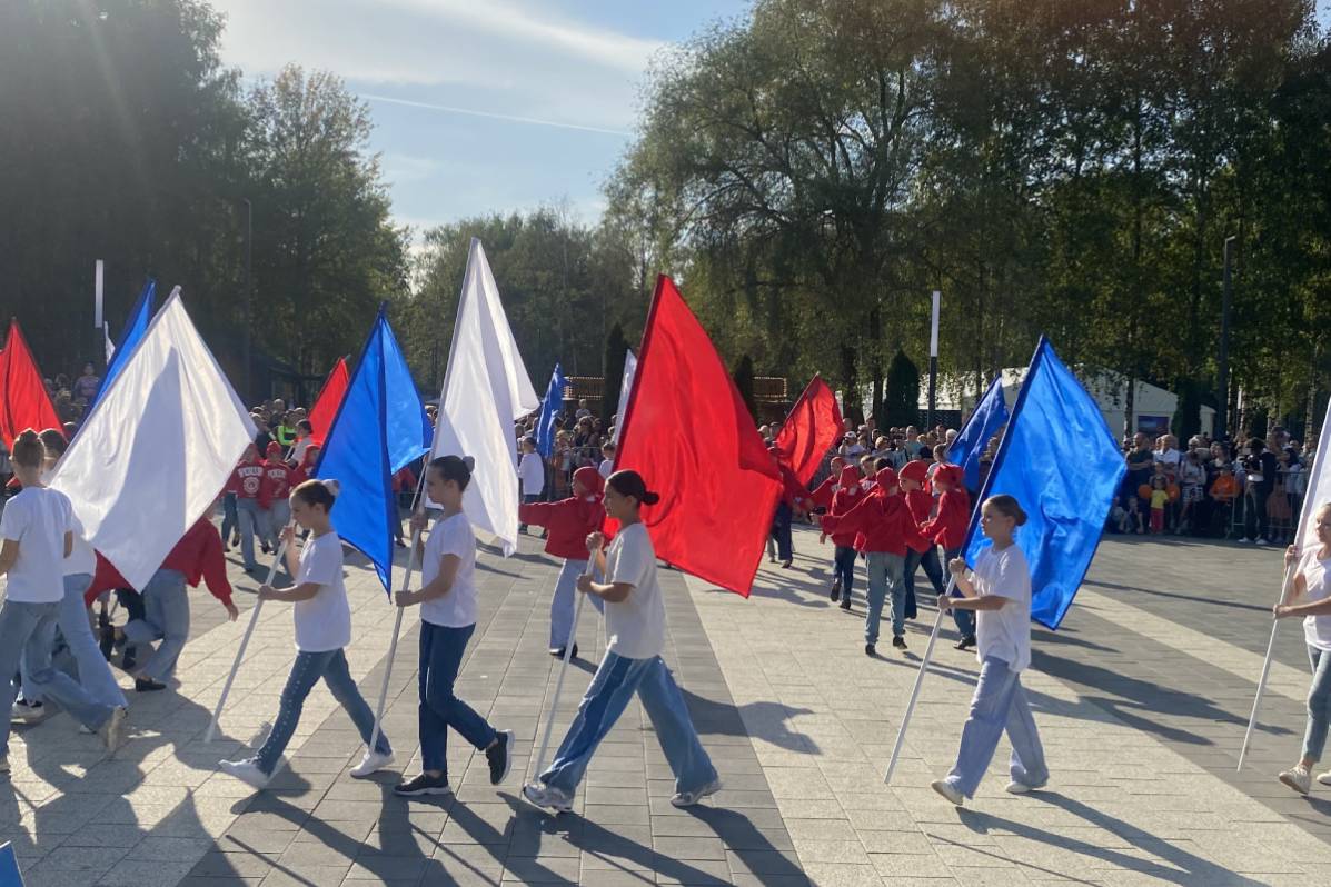Тротуарная плитка - идеи дизайна, тонкости выбора Тротуарная плитка Steingot